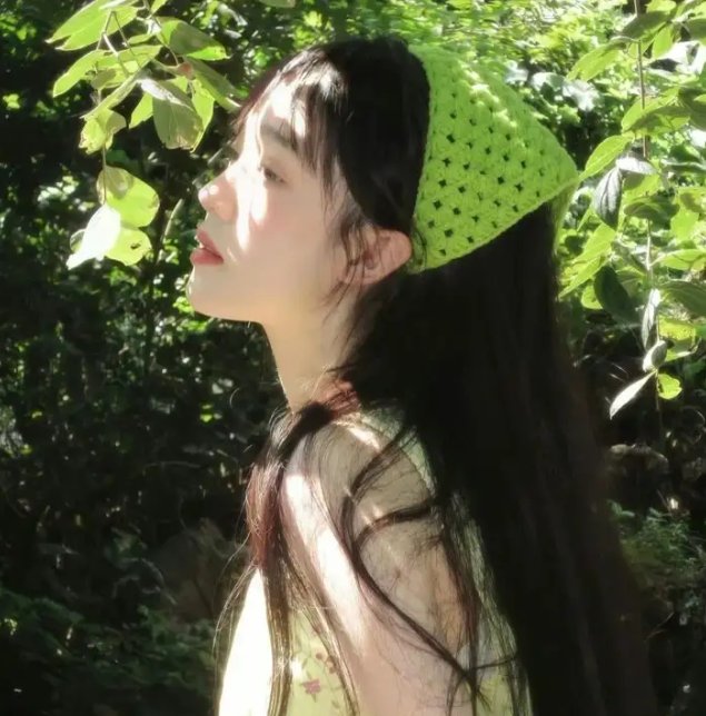 仙人掌花
